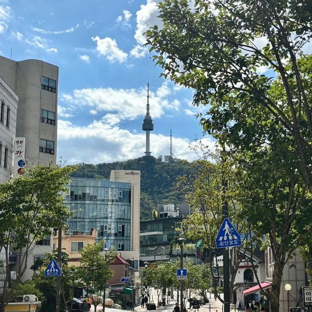 Seoul Serenity Apartamento
